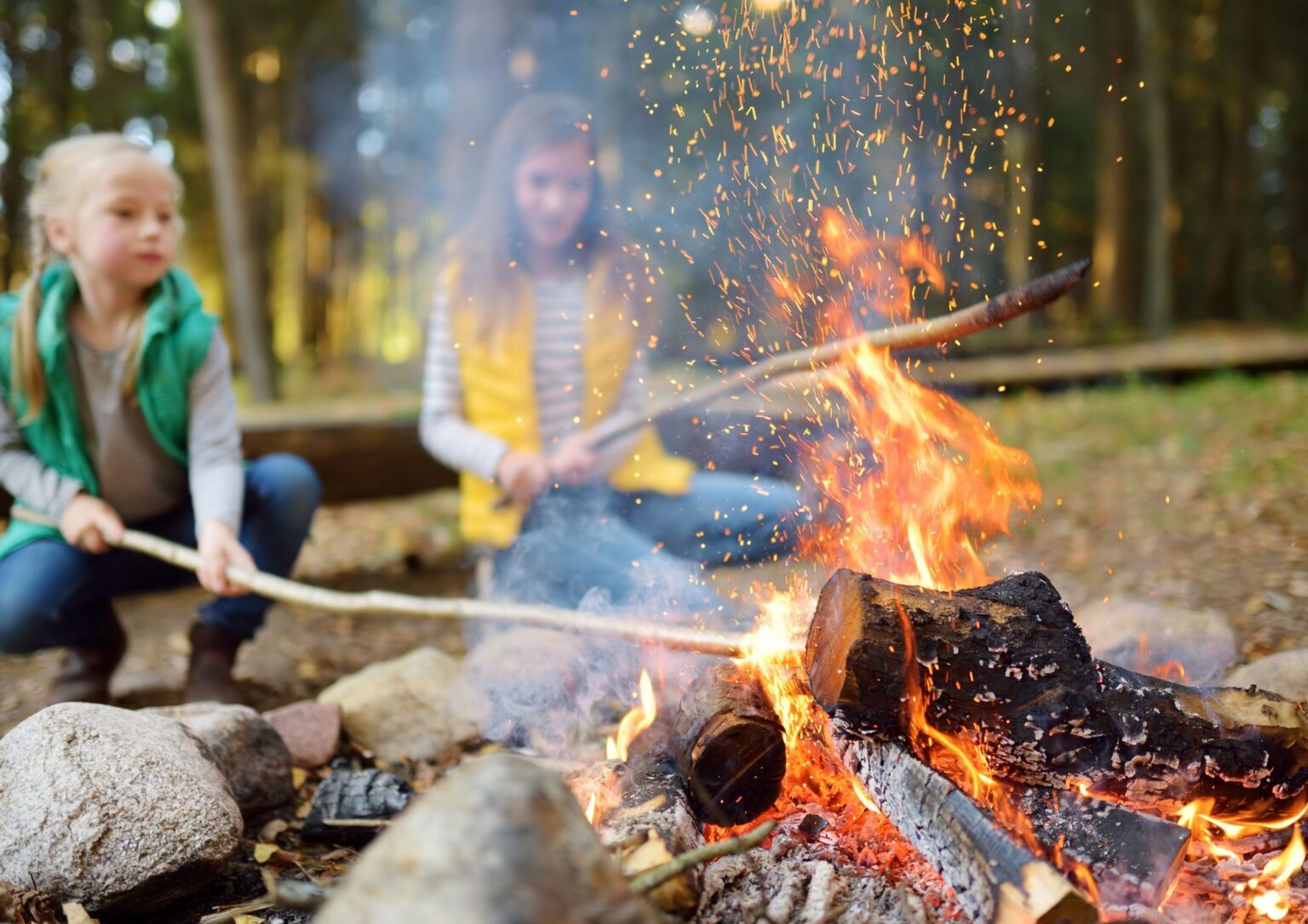 dvaro-paslapciu-laboratorija