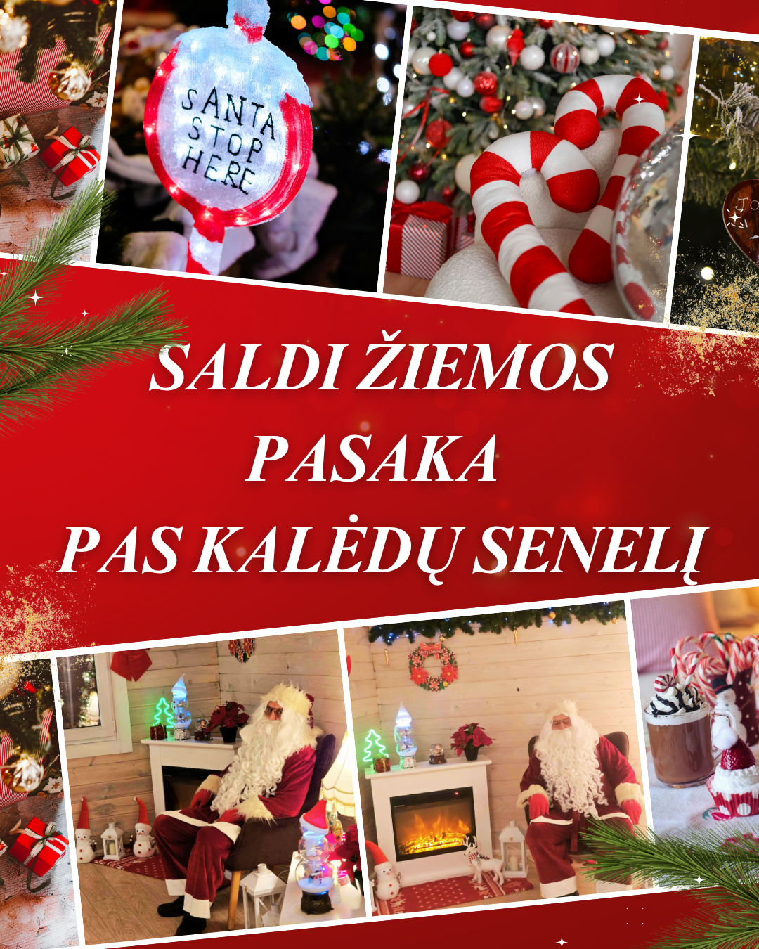 SALDI ŽIEMOS PASAKA PAS KALĖDŲ SENELĮ (2)