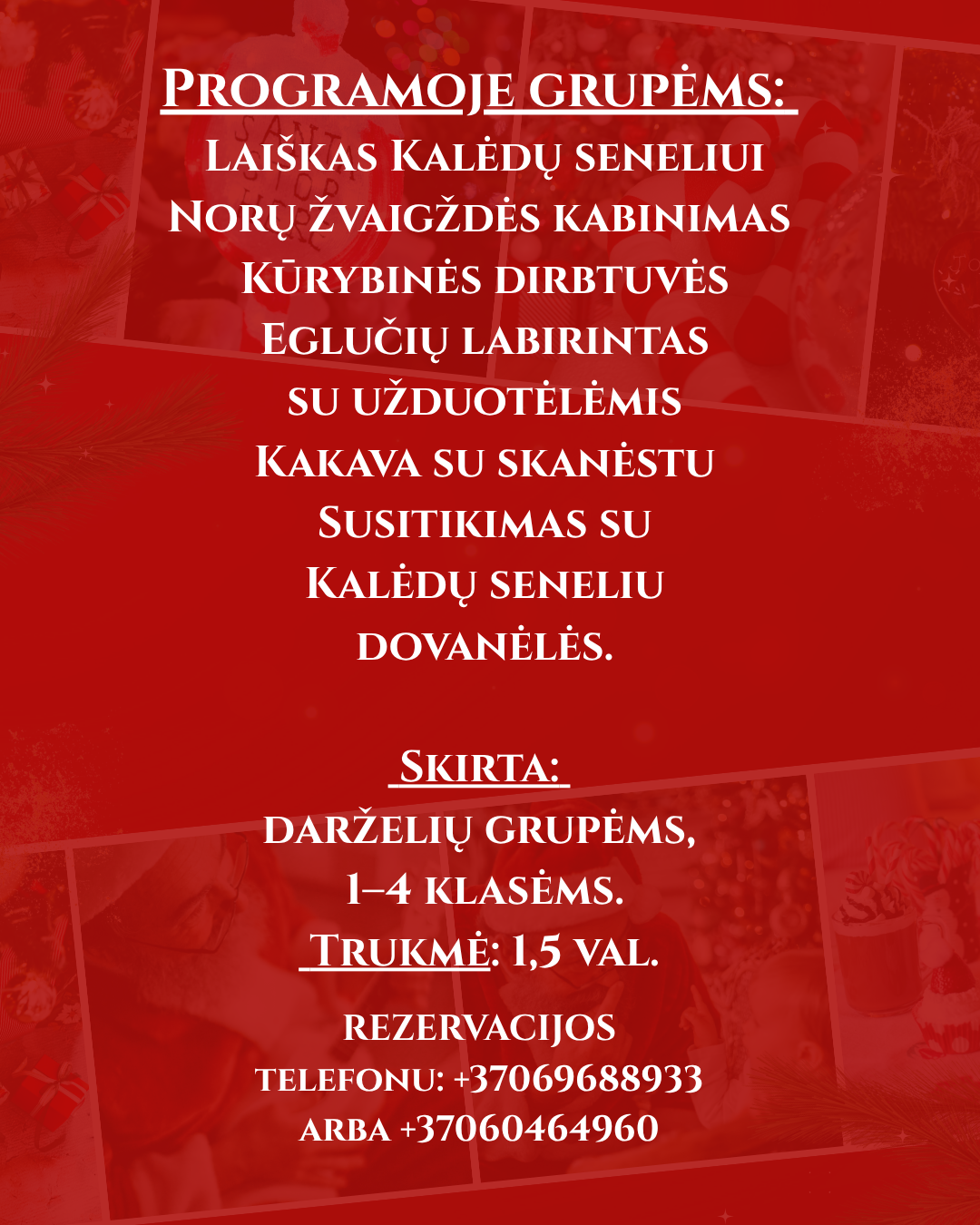 SALDI ŽIEMOS PASAKA PAS KALĖDŲ SENELĮ (4)