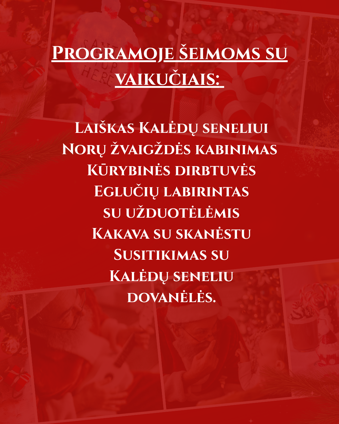 SALDI ŽIEMOS PASAKA PAS KALĖDŲ SENELĮ (5)