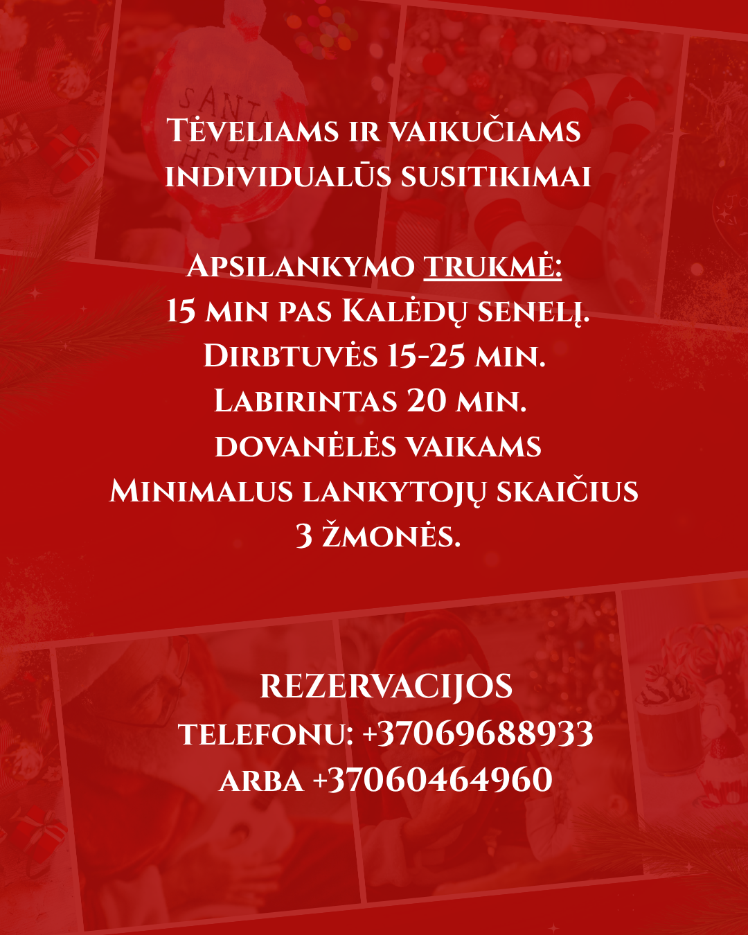 SALDI ŽIEMOS PASAKA PAS KALĖDŲ SENELĮ (6)