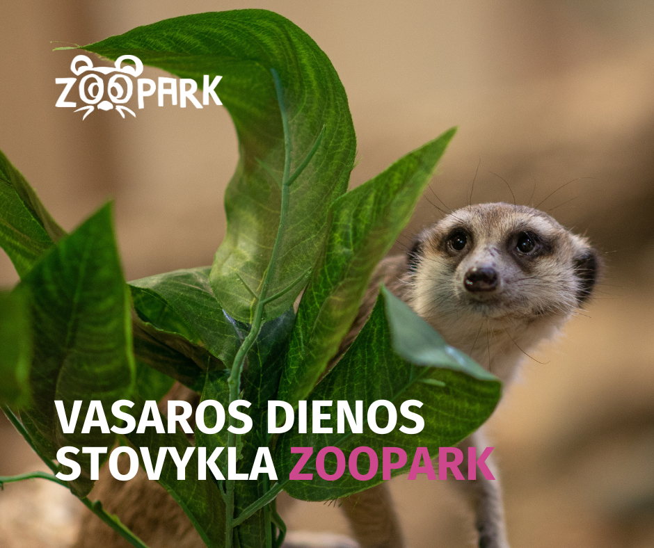 VASAROS DIENOS STOVYKLA ZOOPARK