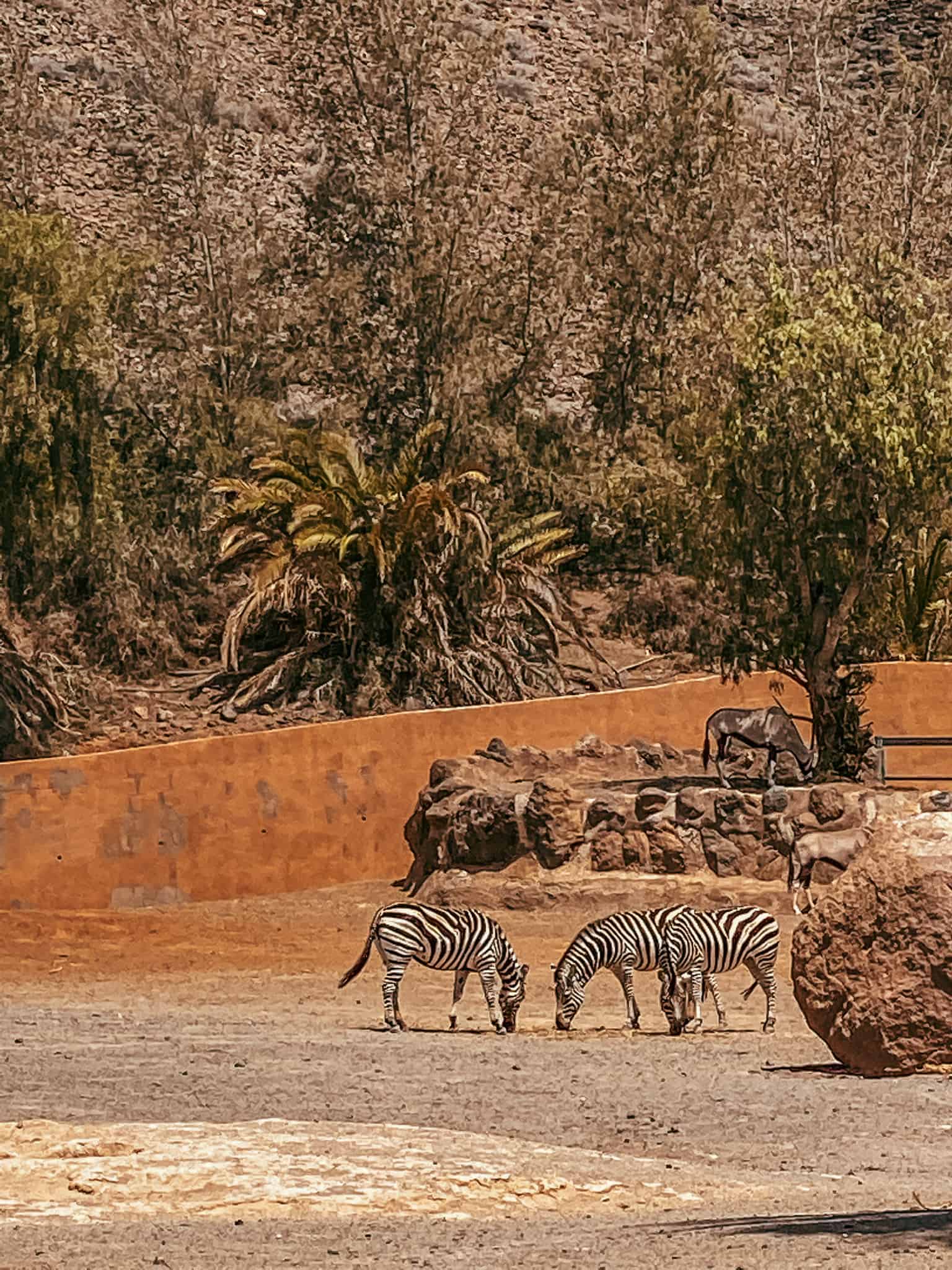 Oasis Wildpark Zoo parkas
