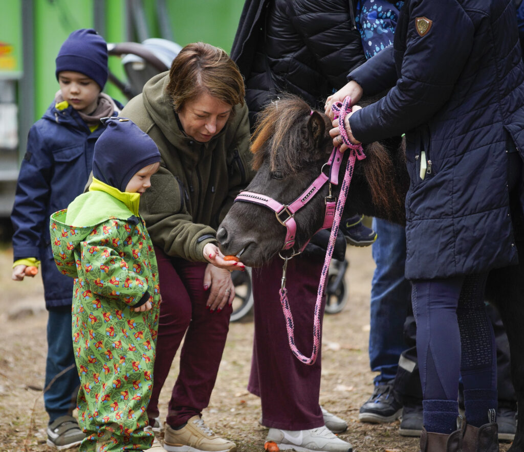 typtop-zygiai-arklys-vaikai