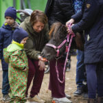 typtop-zygiai-arklys-vaikai